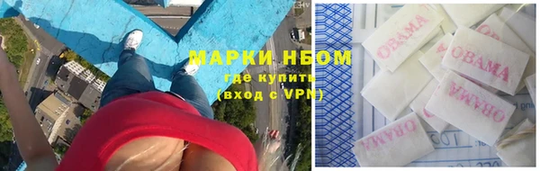 гидра Алексеевка