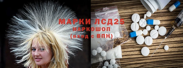 крисы Абаза