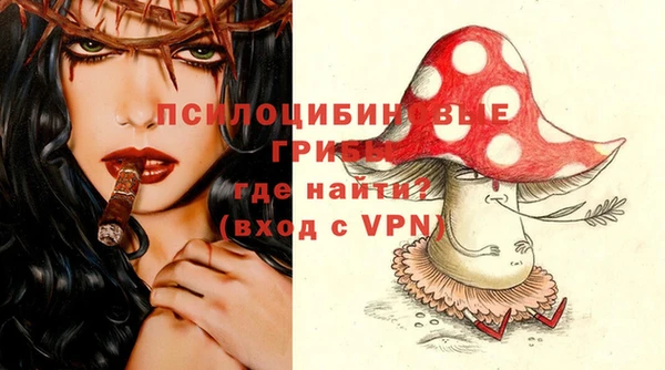 гидра Алексеевка